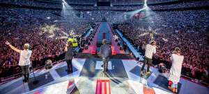 Malacopia_Andrea_Meli_one-direction-concerto