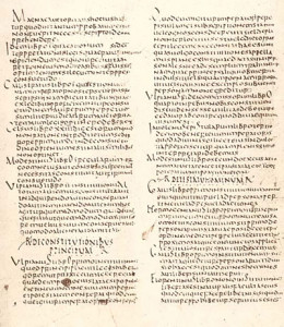 La Littera Florentina