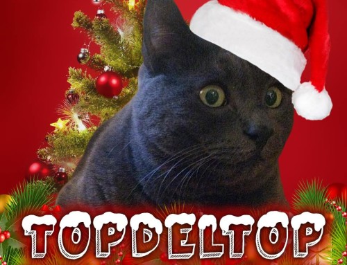 #TopdelTop Christmas Edition – Parte 2.